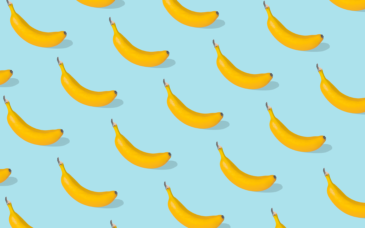 Instructional Design Software: Top Tools for Success